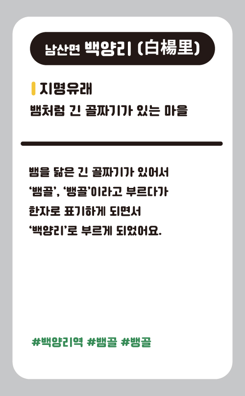 백양리